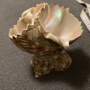 Vintage Shell Dish